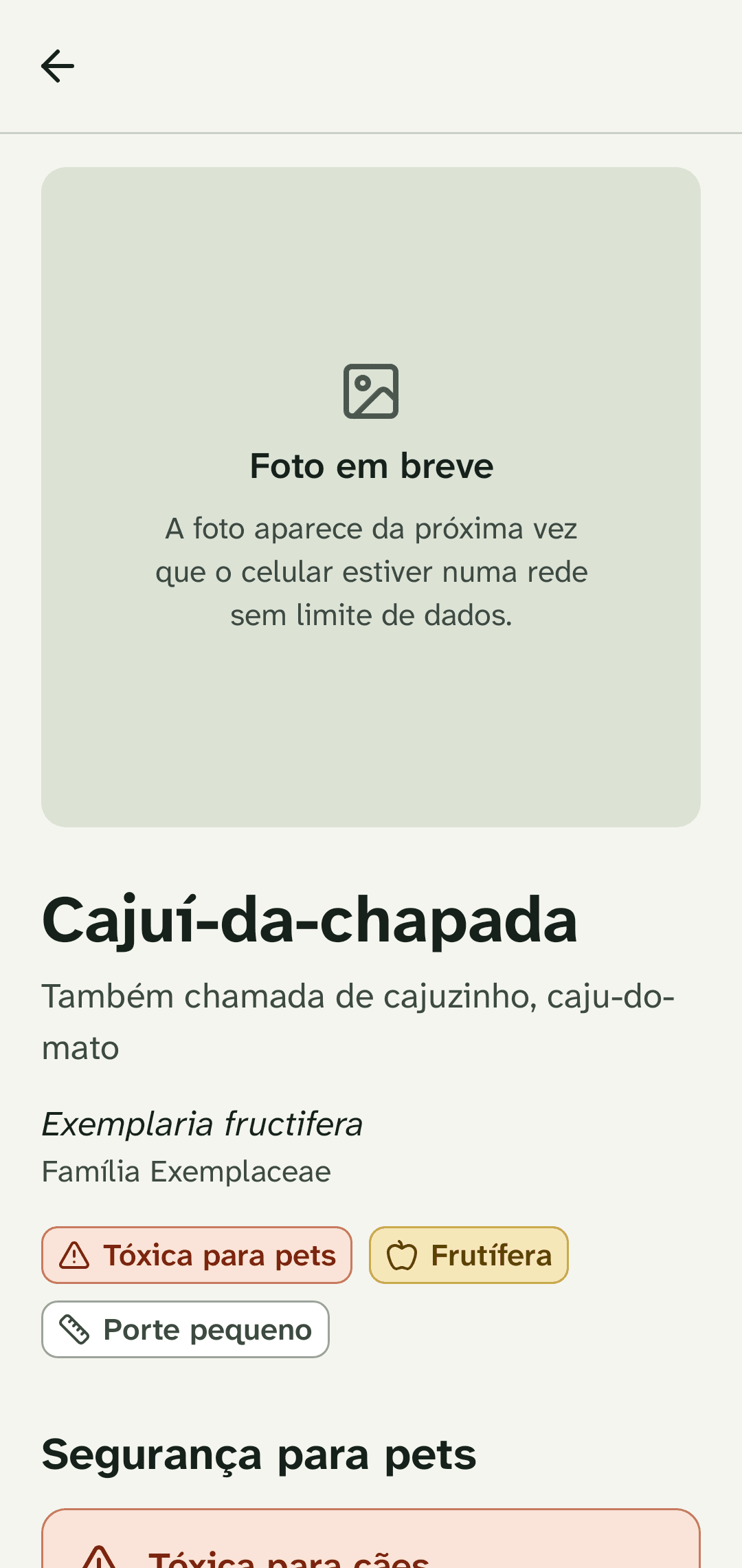 Ficha de uma planta no Sombraí